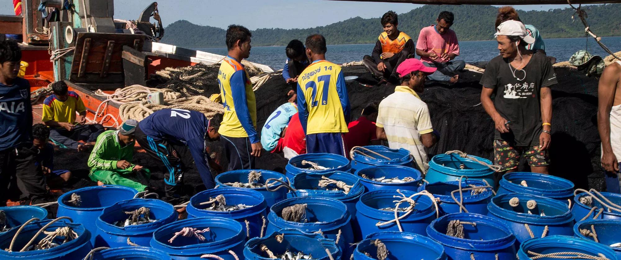 Fishers at work in Songkhla and Phang Nga provinces in Thailand