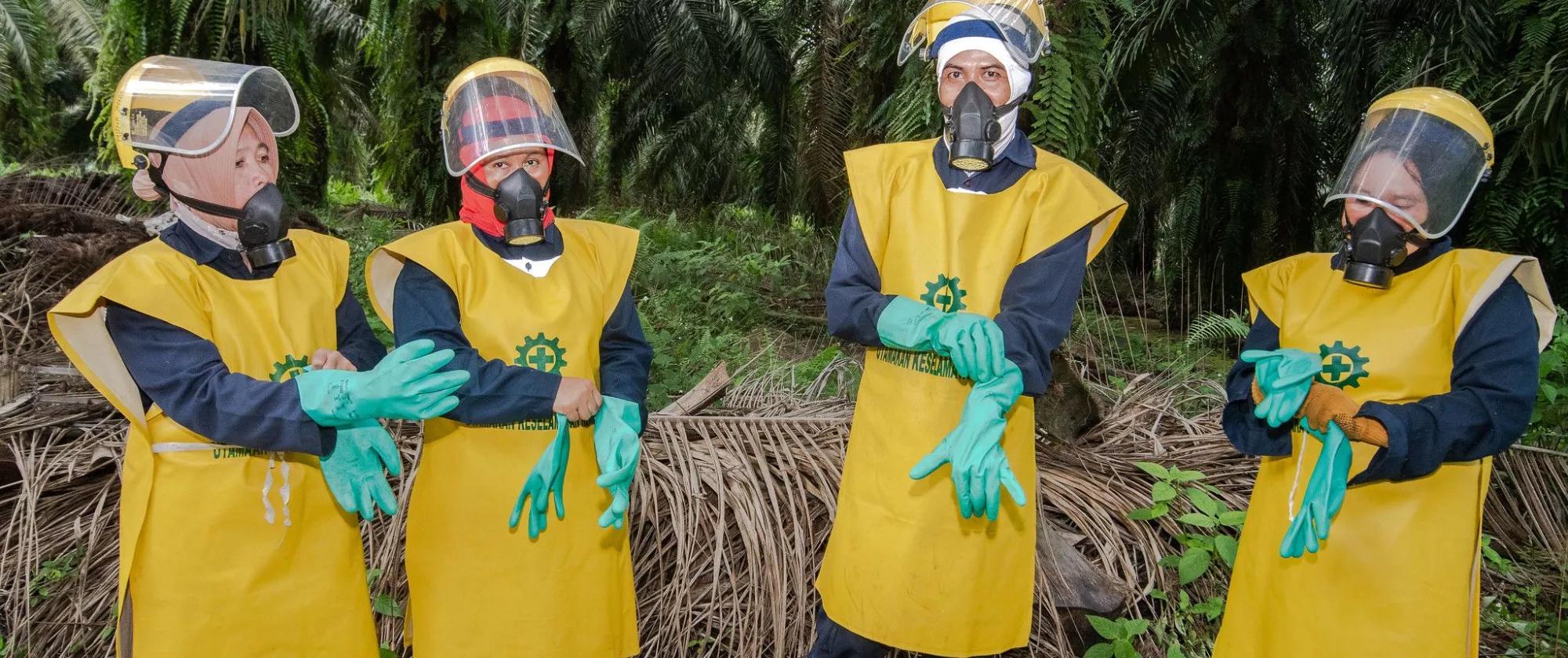 Indonesian female workers at palm oil plantation equipped with safety gears