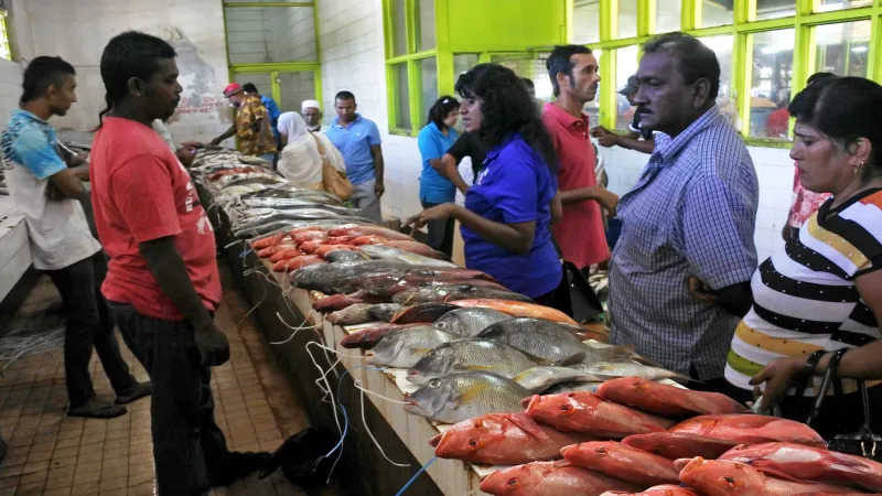 Fresh fish for sale in Nadi fish market in Viti levu Island, Fiji.